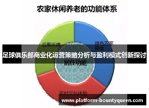 足球俱乐部商业化运营策略分析与盈利模式创新探讨