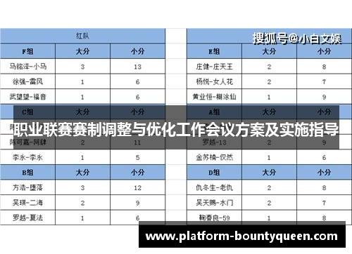 职业联赛赛制调整与优化工作会议方案及实施指导
