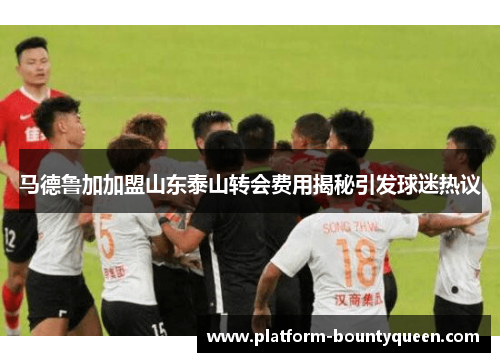 马德鲁加加盟山东泰山转会费用揭秘引发球迷热议