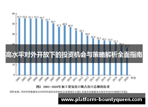 高水平对外开放下的投资机会与策略解析全面指南