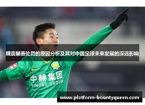 魏震禁赛处罚的原因分析及其对中国足球未来发展的深远影响